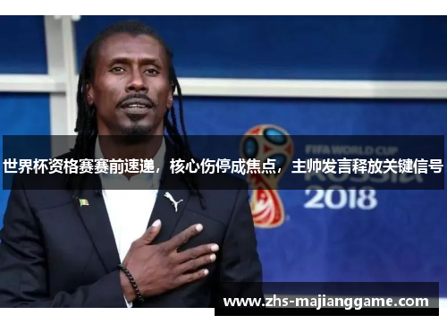 世界杯资格赛赛前速递，核心伤停成焦点，主帅发言释放关键信号